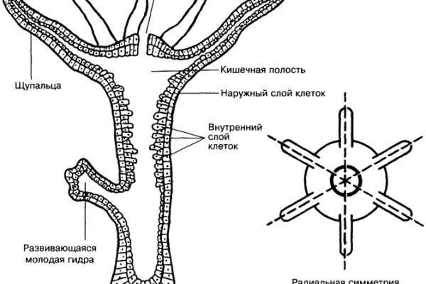 Кракен это современный даркнет маркет плейс