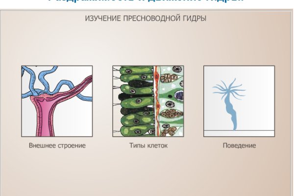 Кракен сайт kr2web in