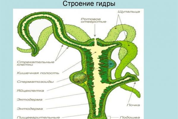 Kraken официальная ссылка tor