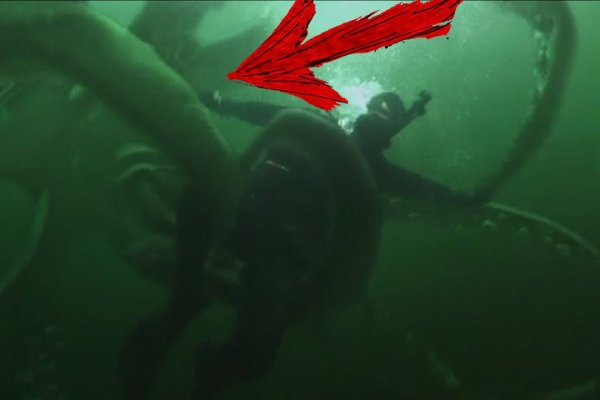 Kraken что это такое