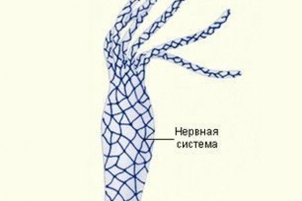 Kraken актуальное
