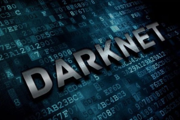 Kraken dark net