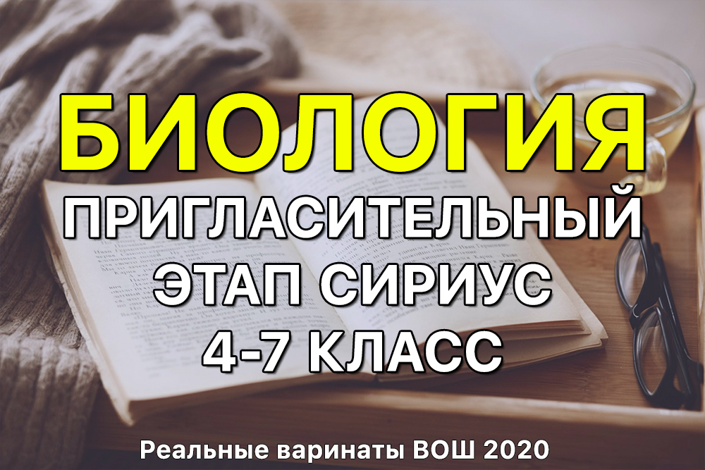 Кракен ссылка стор